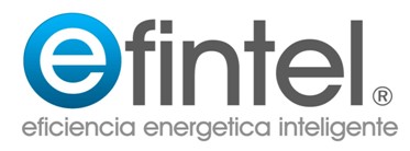 Logo partner EFINTEL